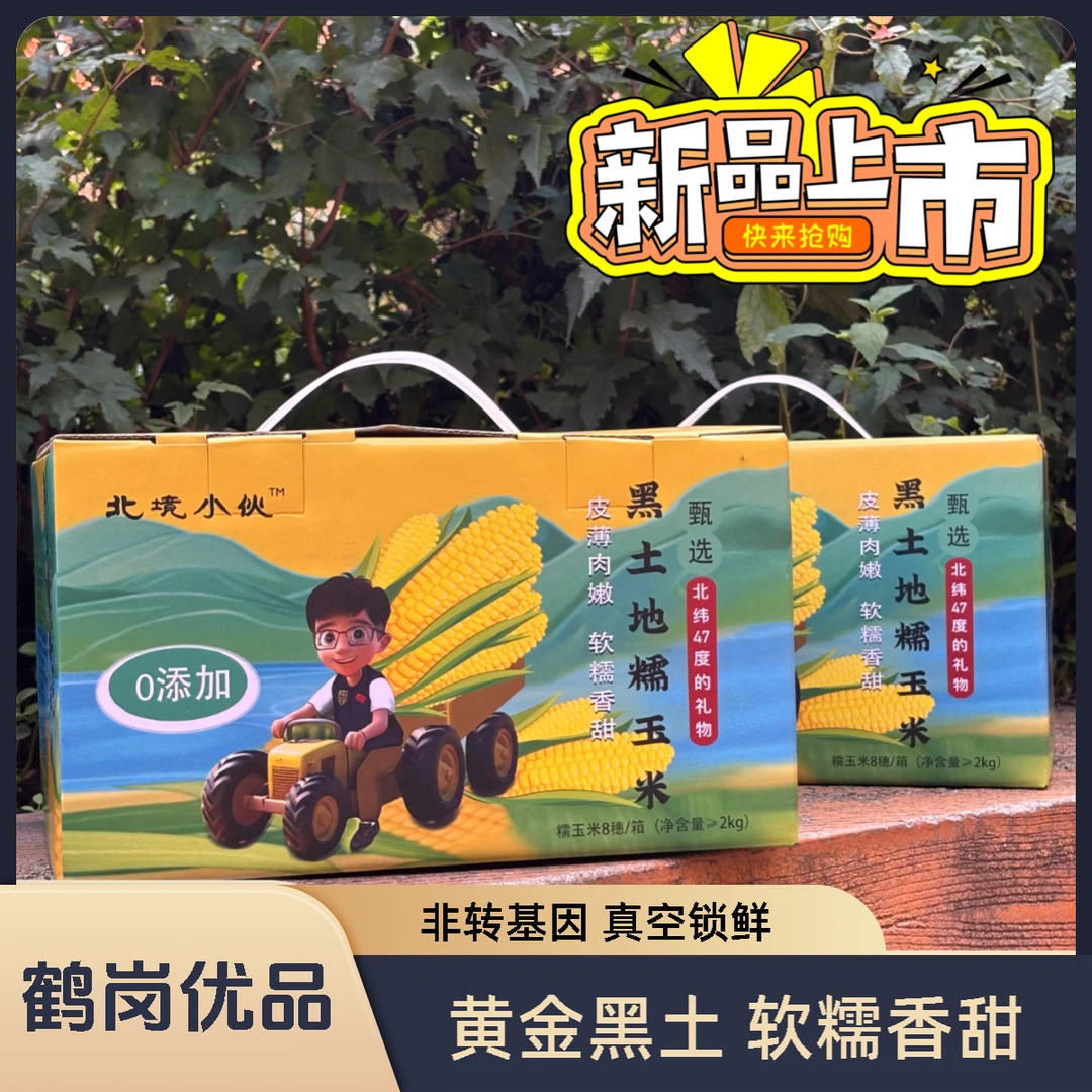 【24年头茬新黄糯玉米】北境小伙黑龙江黄金黑土爆产粘苞米香甜软糯
