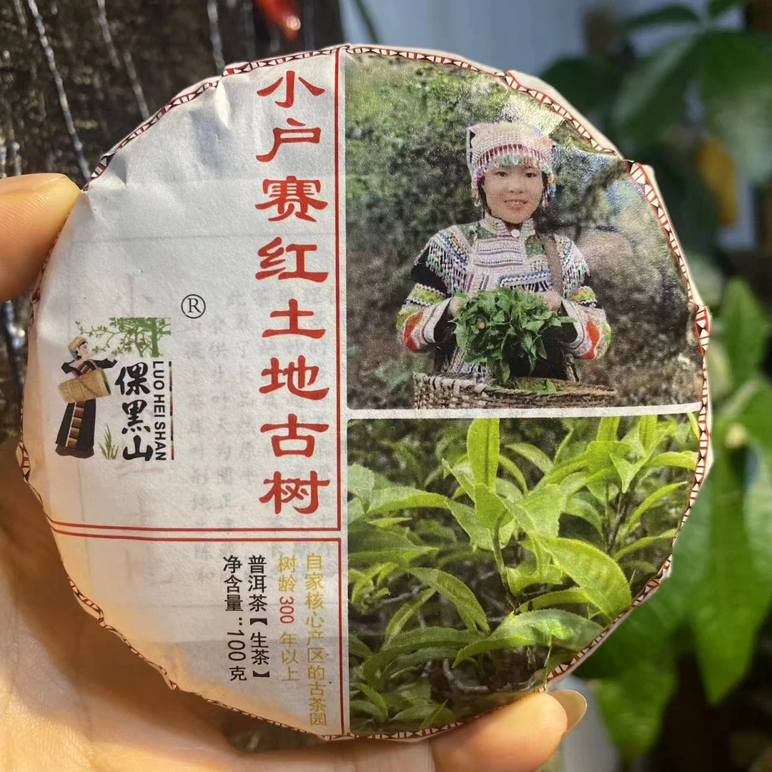 2024小户赛红土地头春古树100克迷你饼