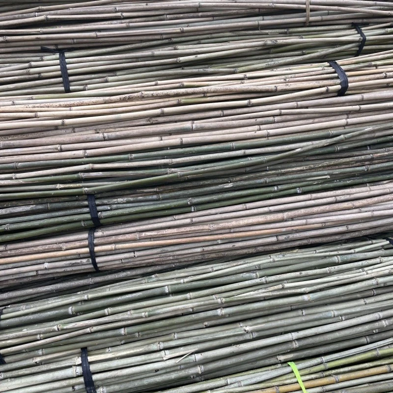 竹竿菜园搭架子豆角黄瓜番茄爬藤架篱笆围栏竹竿菜架子直销