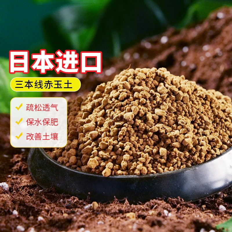 包邮硬质三本线赤玉 土花卉多肉种植火山颗粒土 兰花盆栽植物铺面