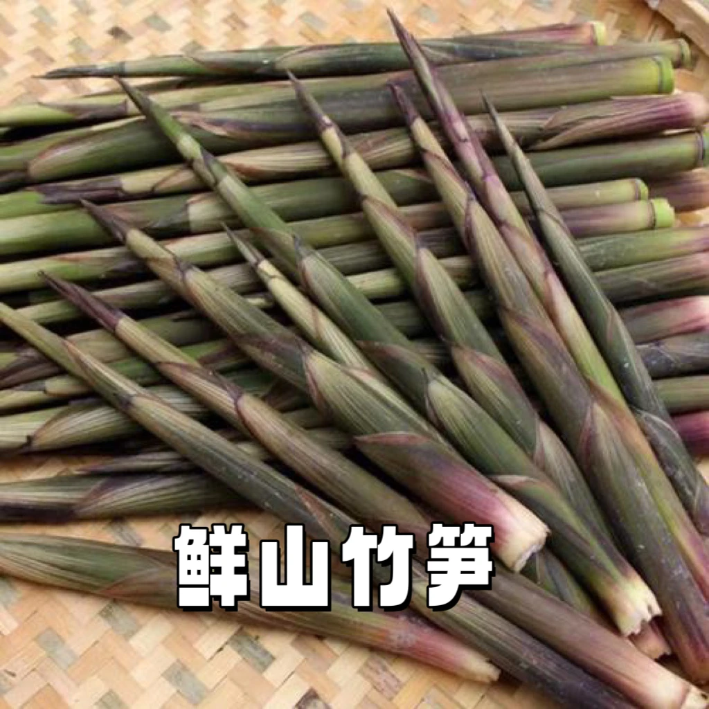 【杨支书鲜山竹笋】农户自采自销