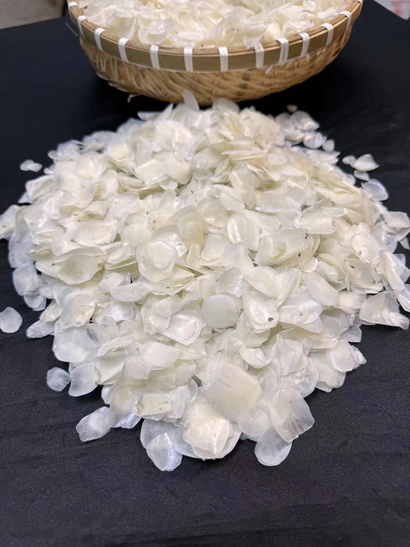 【南海阁海珍行】野生金兰赤嘴鱼（鳞）0-500g
