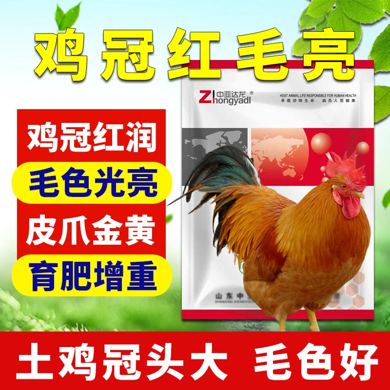 【公鸡冠红毛亮专用】大红冠变红亮羽育肥长鸡冠添加剂达龙毛血旺