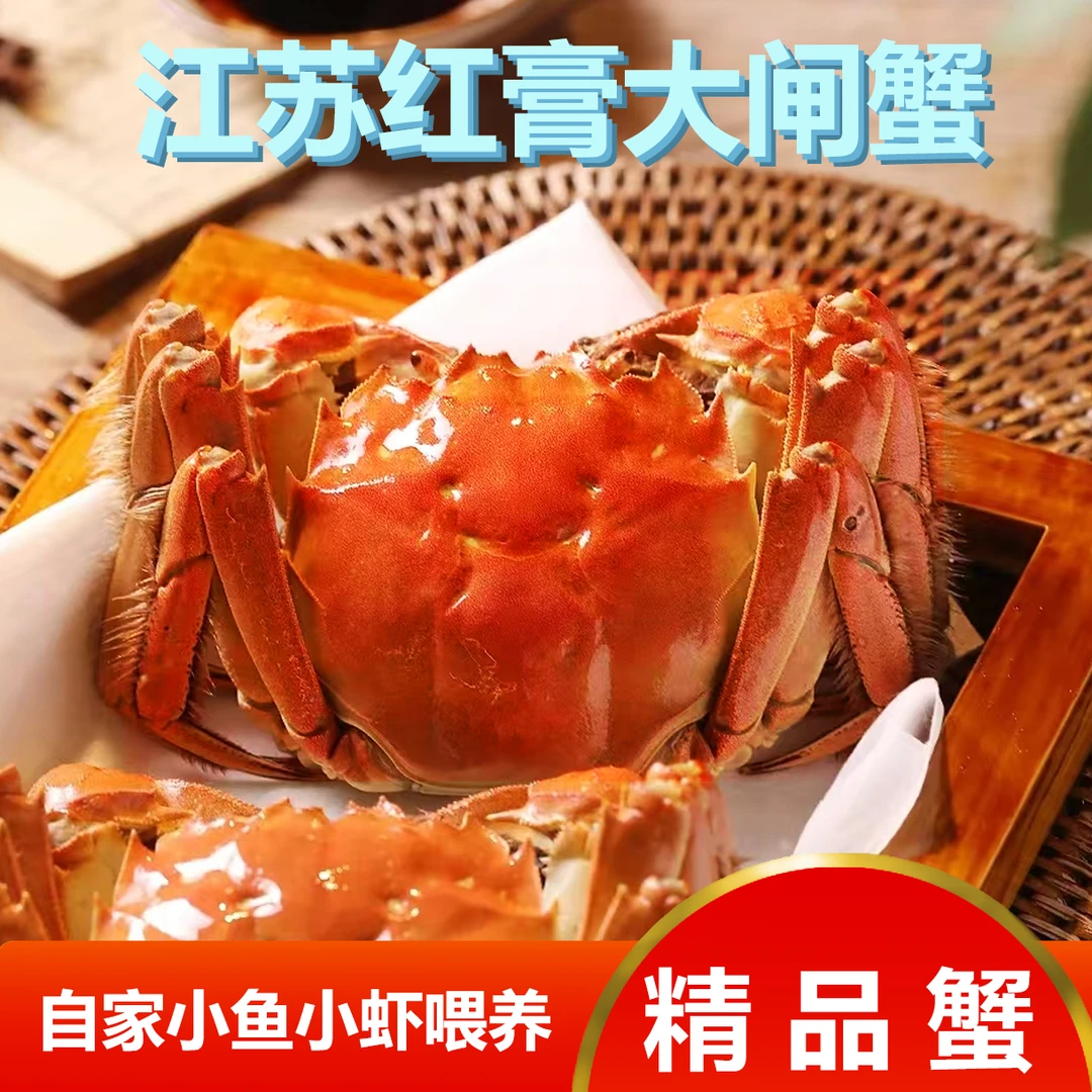 【活蟹】兴化红膏大闸蟹 全母3.1-2.8两 8只/10只 顺丰鲜达