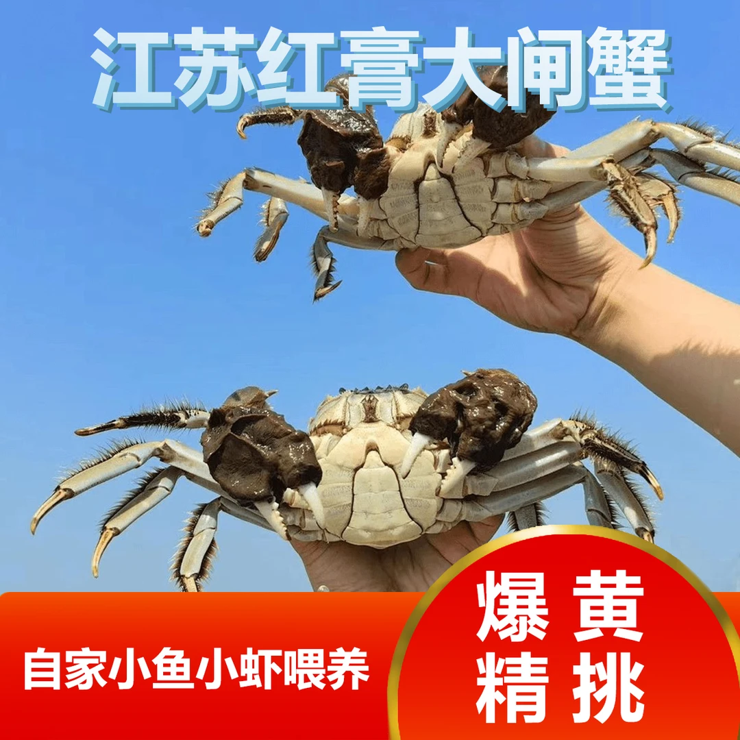 惠【活蟹】江苏精品大闸蟹16只 （公3.2-2.9两8只）（母2.2-1.9两8只）