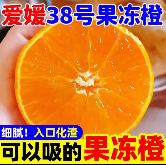 【果园直发】四川爱媛38号果冻橙新鲜应季水果现摘现发柑橘爆甜多汁
