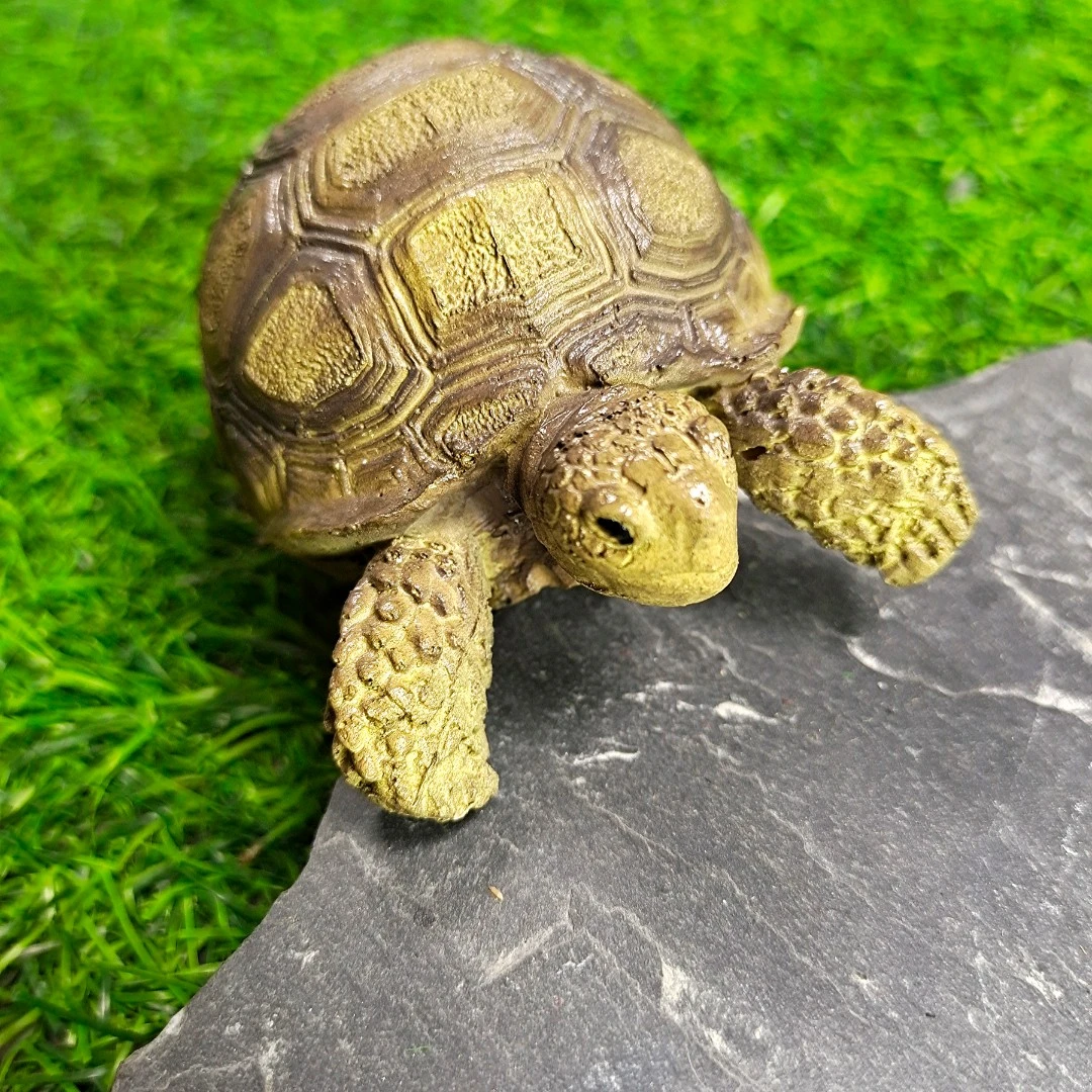 树脂庭院家居饰品写实乌龟摆件 尺寸10x6x5公分小乌龟中式摆放