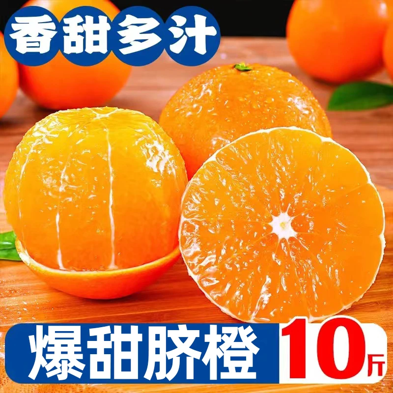 现摘橙子10斤新鲜直发新鲜水果橙子3斤赣南爆甜橙子应季水果超甜