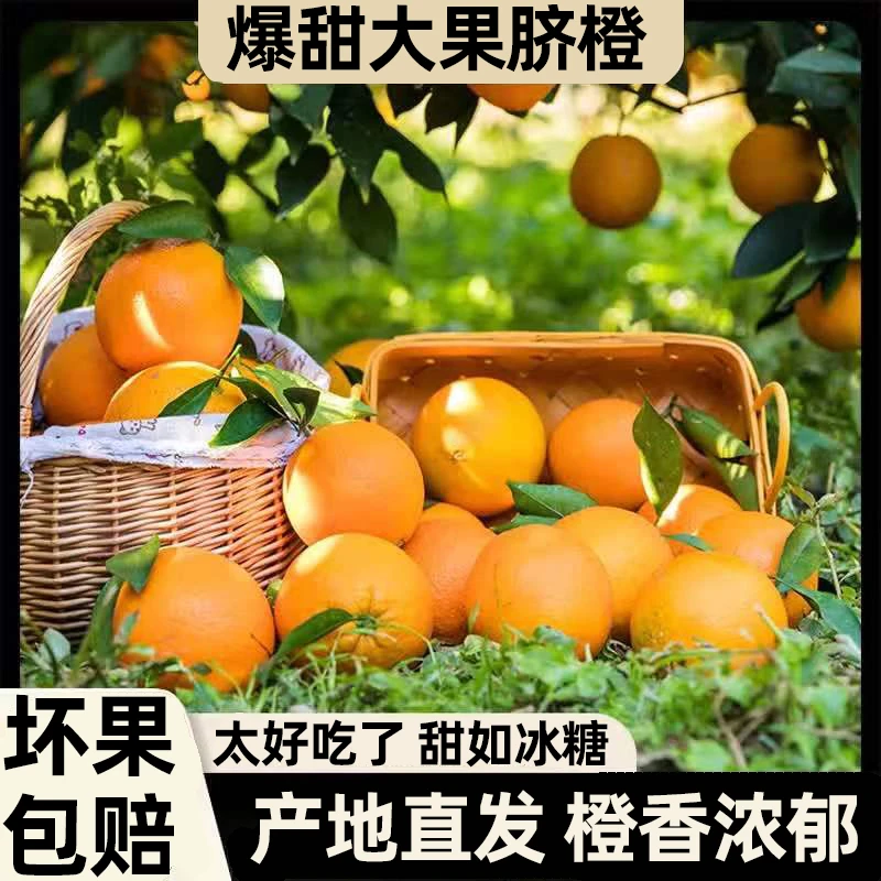 古田脐橙10斤新鲜水果橙子现摘脐橙爆甜应季水果整箱3个非赣南