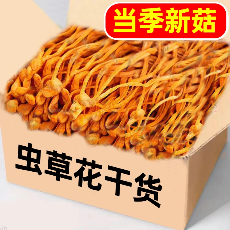 新货虫草花干货农家炖鸡汤新鲜北蛹金虫草孢子头菌菇煲汤批发香浓