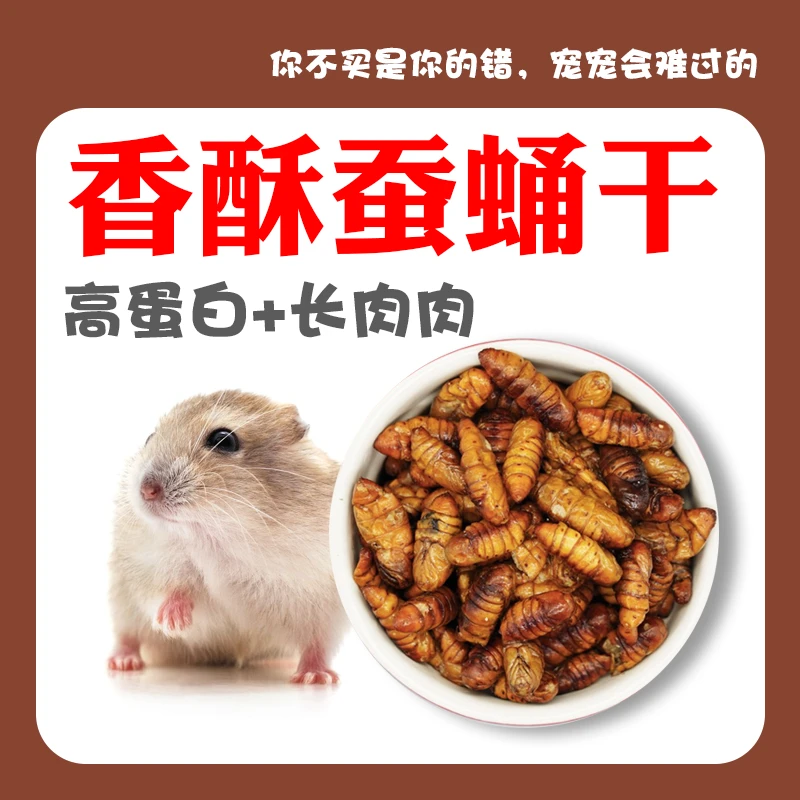仓鼠长膘干蚕蛹干多种氨基酸高钙增肥高蛋白易吸收提高免疫力烘干