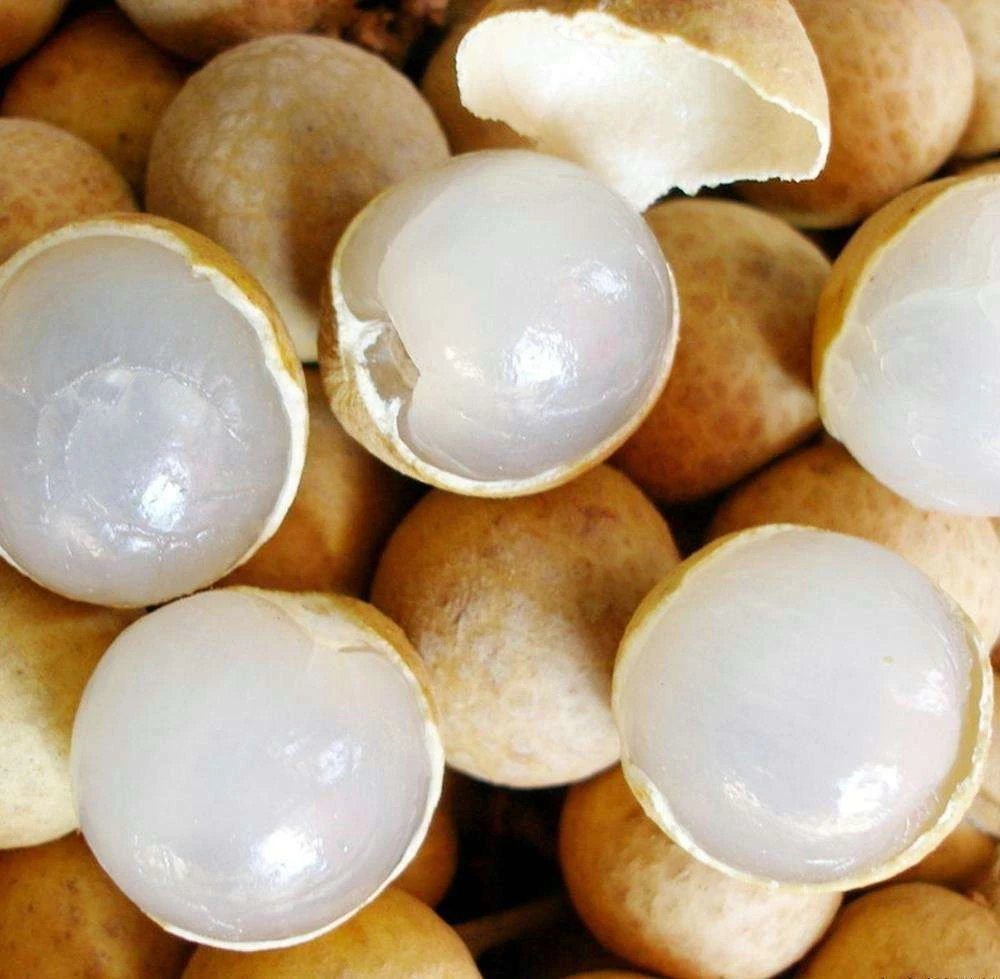 泰国龙眼一斤尝鲜