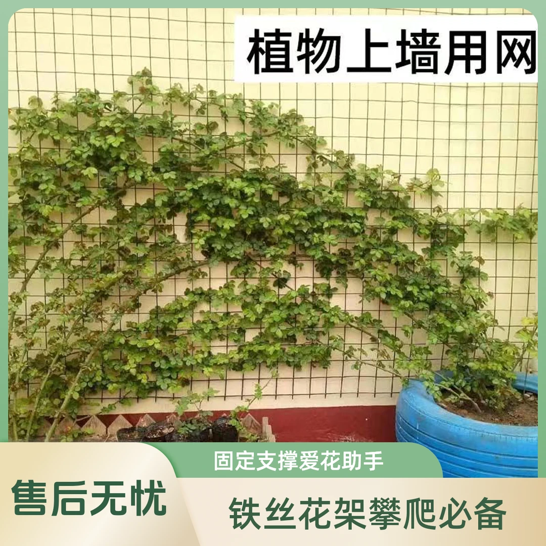 花墙架网格月季爬藤架子靠墙壁植物固定支撑蔷薇花架铁丝网花卉架