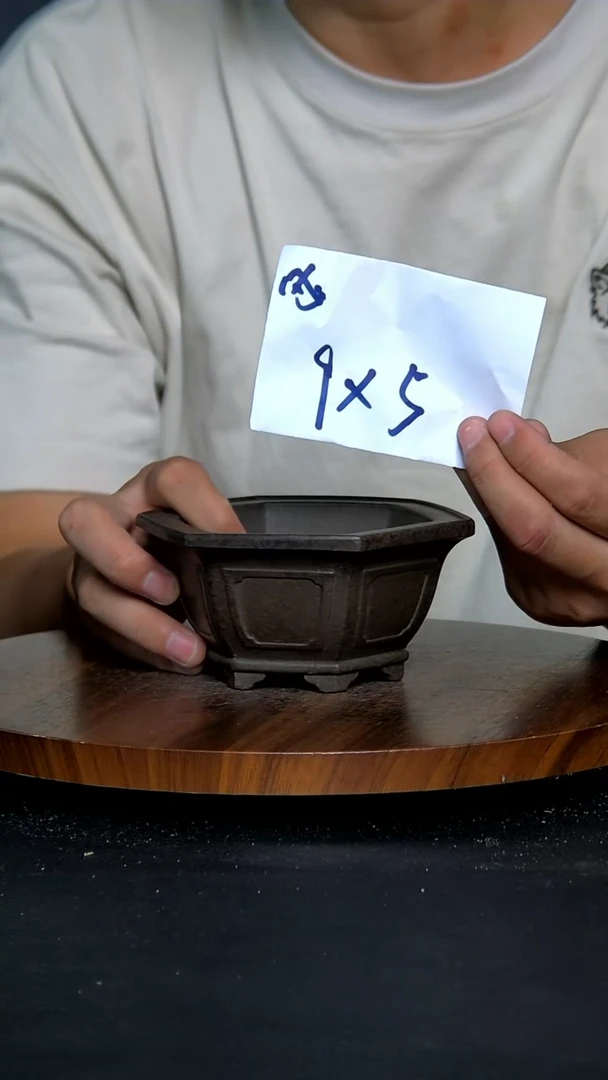 【闪购商品】紫砂20CM以下古铜奎面六方小