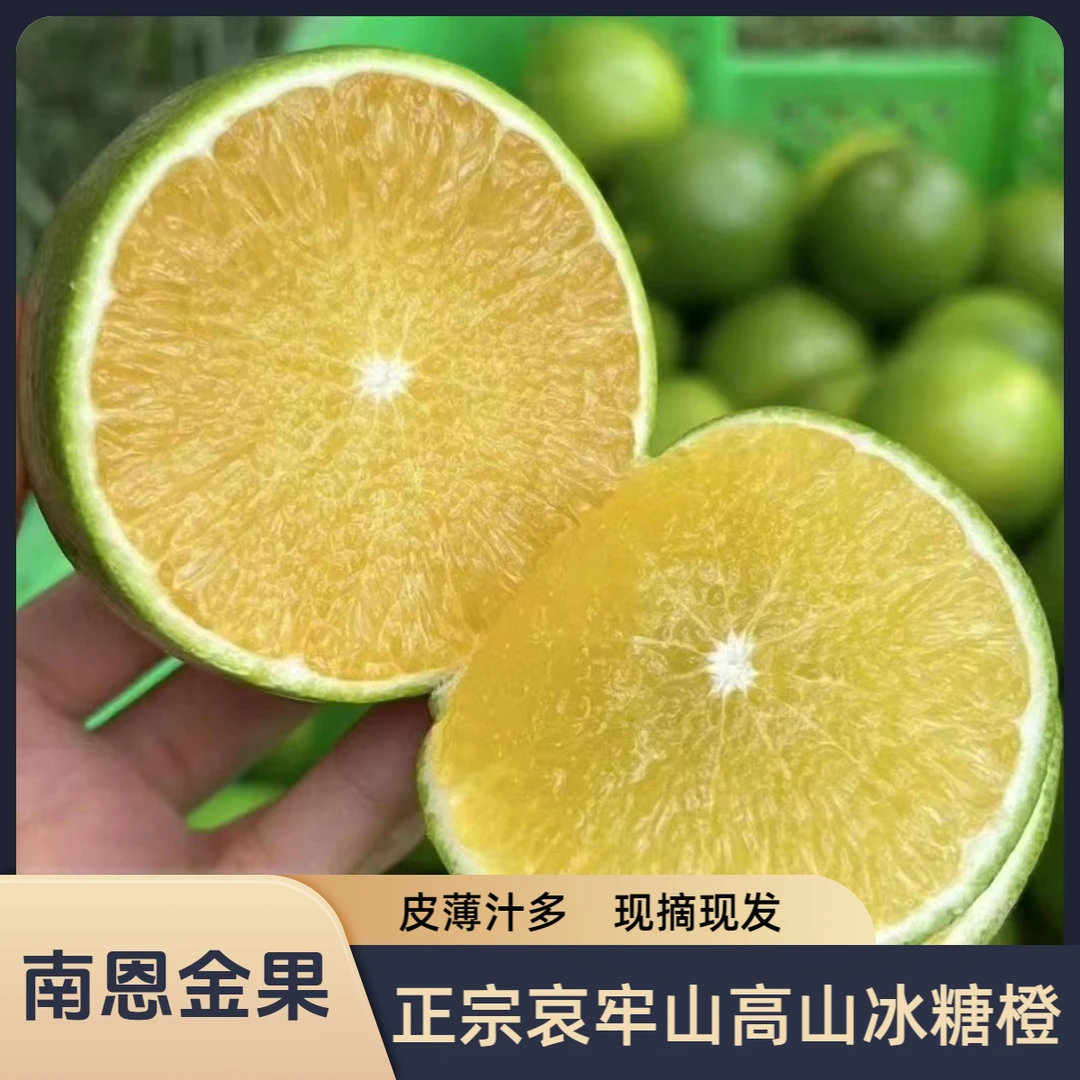 【南恩金果】云南哀牢山冰糖橙新鲜现摘皮薄汁多橙子柑橘果园直发