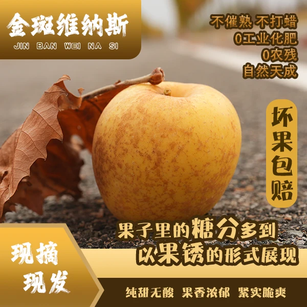 【当季鲜果】金斑黄金维纳斯苹果全甜无酸鲜脆可口