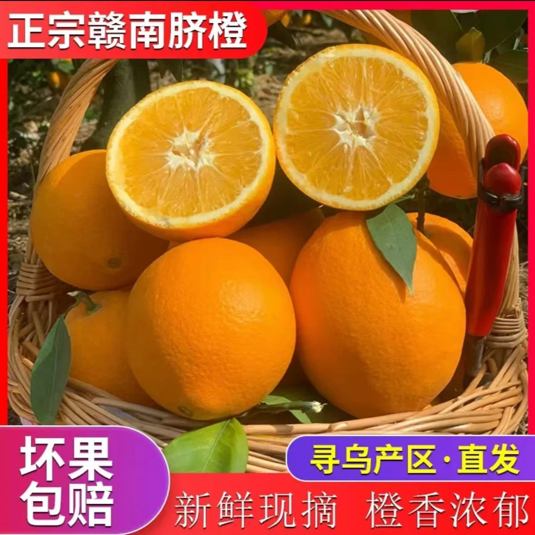 寻乌正宗江西赣南脐橙新鲜采摘应季水果脐橙手剥橙5斤