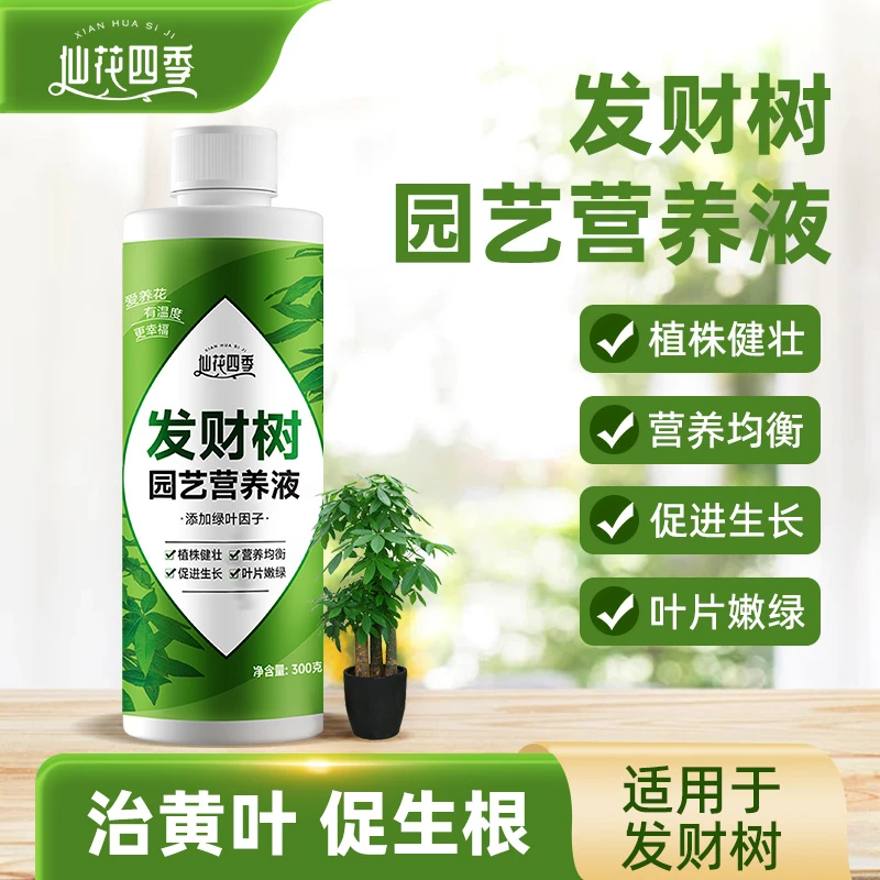 仙花四季发财树园艺营养液植物通用型盆栽家用花卉肥料水溶叶面肥