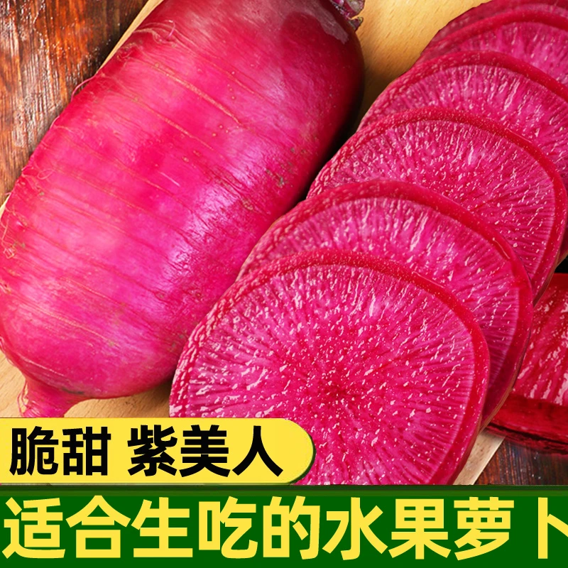 凤梨水果萝卜种籽大全红皮红心萝卜种子紫美人四季播阳台盆栽种子