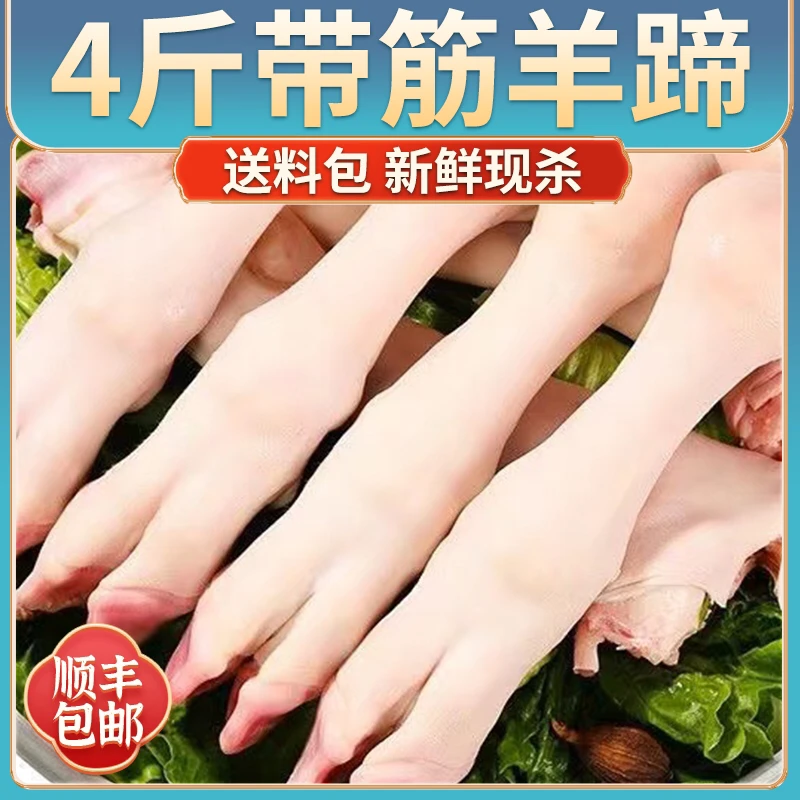 新鲜现杀羊蹄4斤装羊爪子带筋带皮羊蹄顺丰包邮