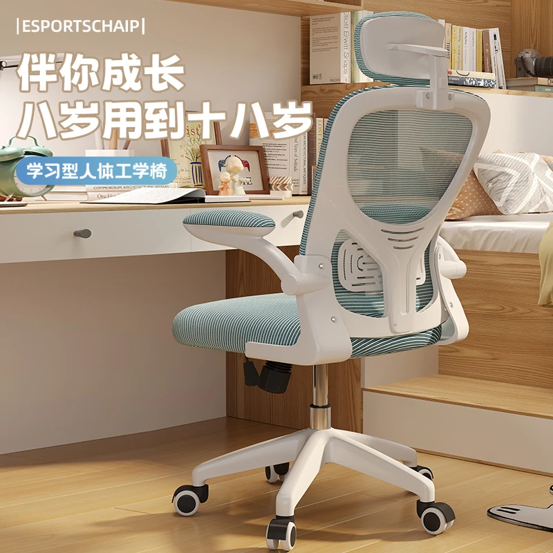 人体工学椅子家用电脑椅舒适久坐办公椅学生宿舍学习可升降电竞椅