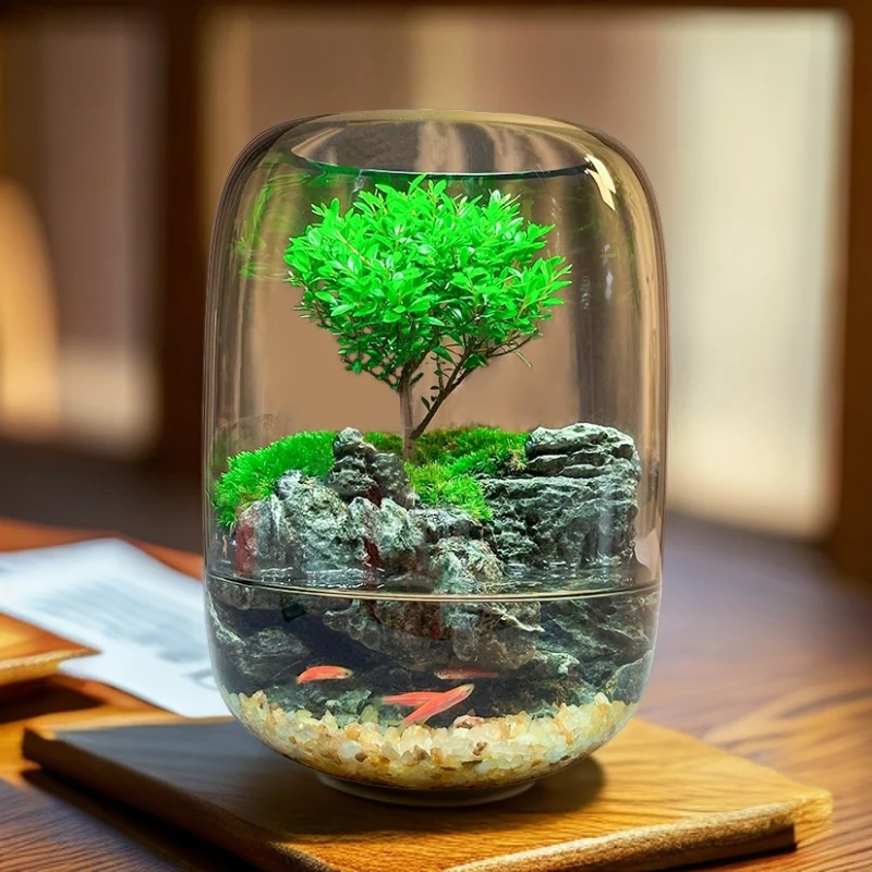 创意桌面绿植苔藓微景观客厅生态水陆缸防辐射盆景装饰造型景