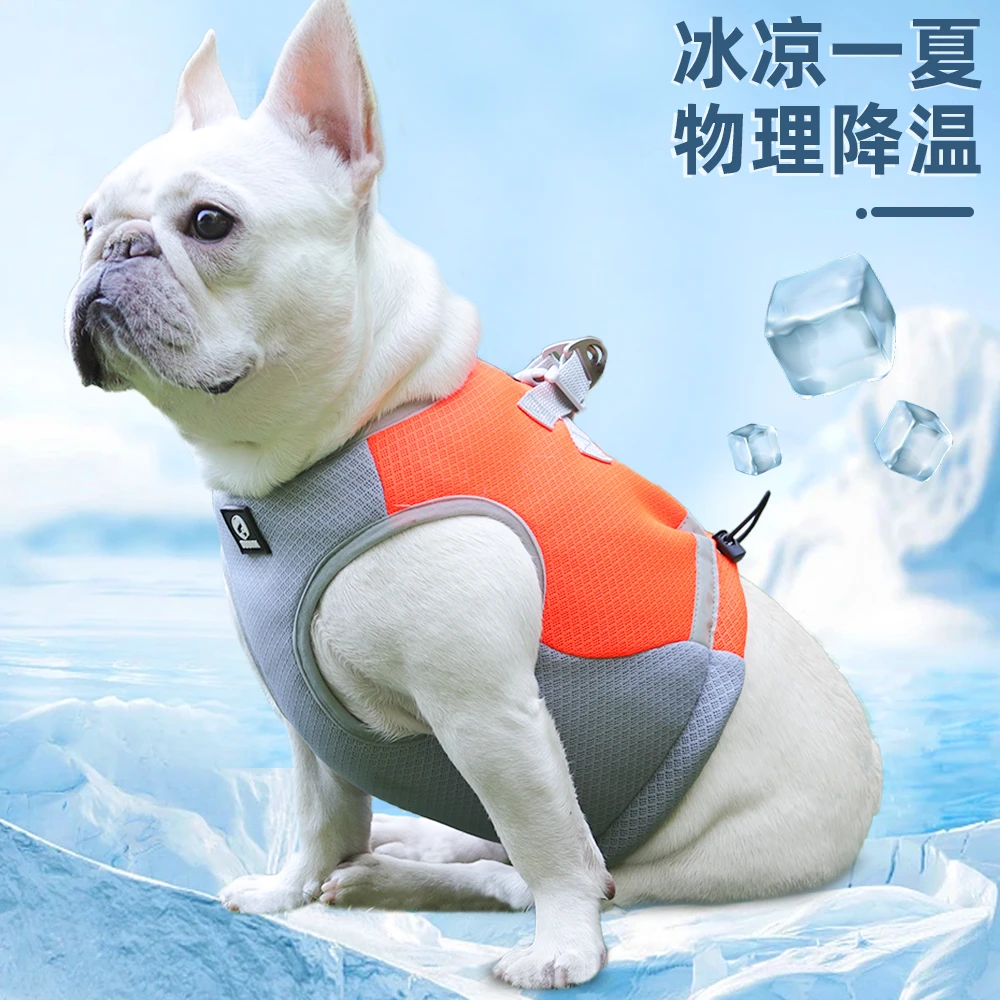 朵猫猫新款宠物清凉衣可牵引背心夏季透气降温衣宠物凉凉衣可调节