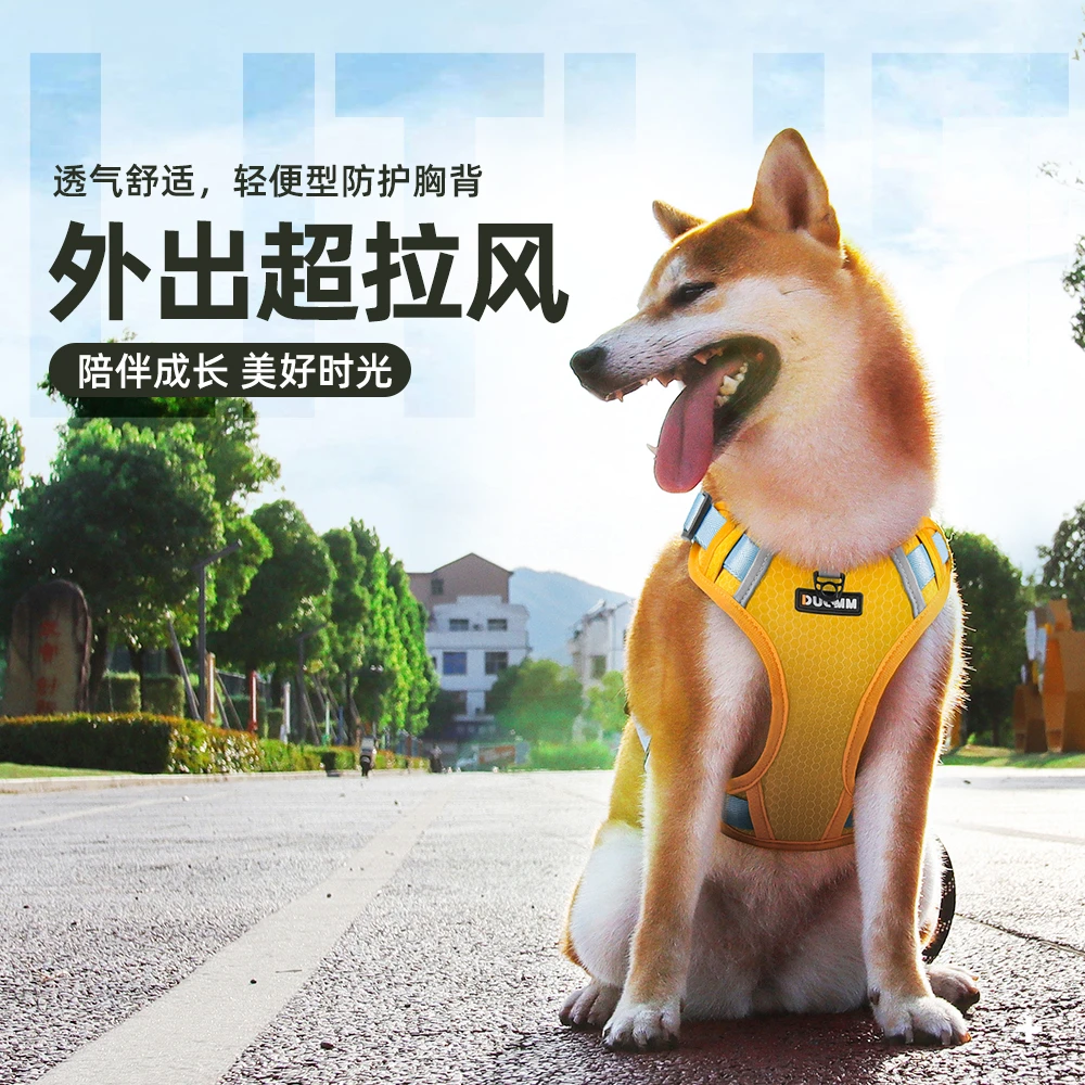 夏季反光狗狗牵引绳背心式柴犬柯基防挣脱透气外出工字型胸背带