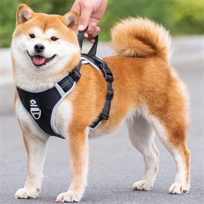 狗狗牵引绳胸背带遛狗绳子外出防挣脱柴犬中大型犬背心式狗链宠物
