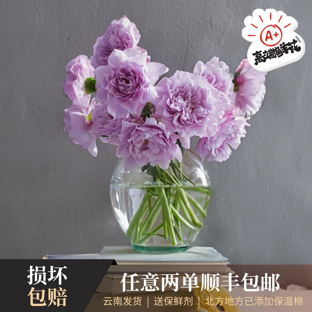 【只做高端】 70cm「幻紫」A级单头玫瑰云南发货任意两单顺丰包邮