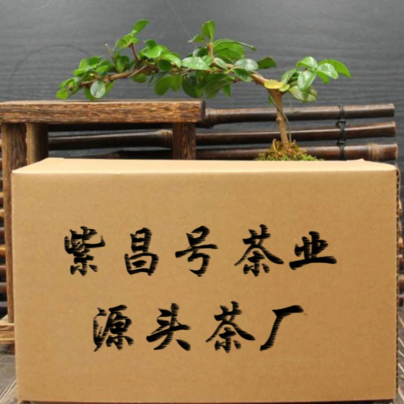 浮力普洱茶套餐大礼包4