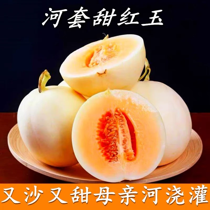 巴盟甜红玉蜜瓜现摘现发净重5斤