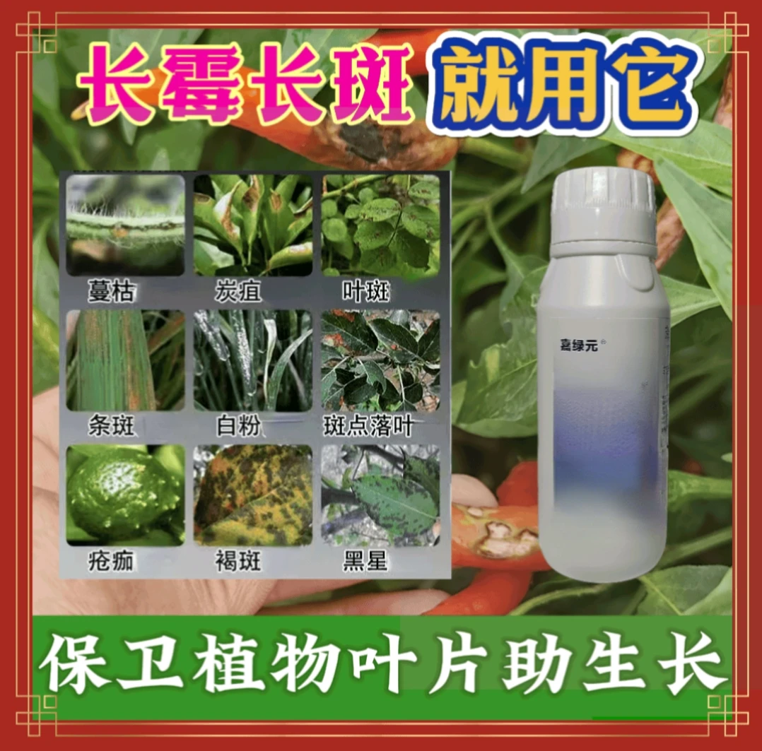 【粉丝福利】保卫瓜果蔬菜叶片助力健康生长叶面肥