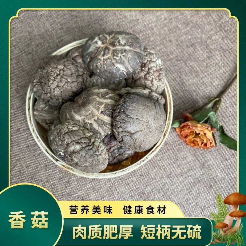 精选当季新货香菇 烹饪食材 山珍蘑菇 50g