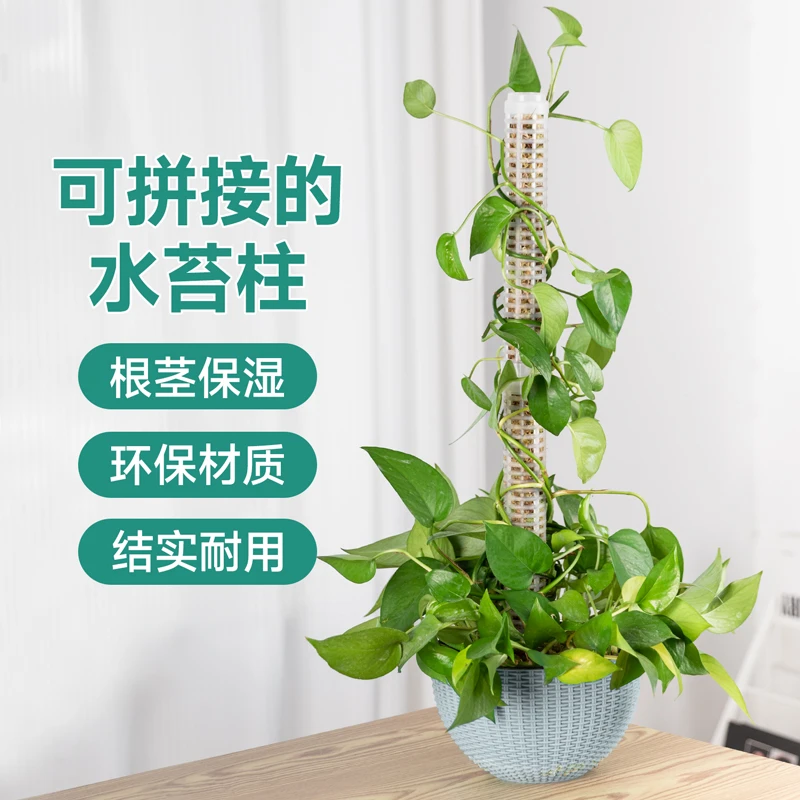 水苔柱可拼接新款爬藤植物攀爬柱绿绒龟背竹绿萝爬藤固定架苔藓柱