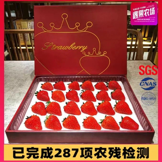 【坏果包赔】正宗丹东九九草莓头茬果红金礼盒真空包装新鲜顺丰空运