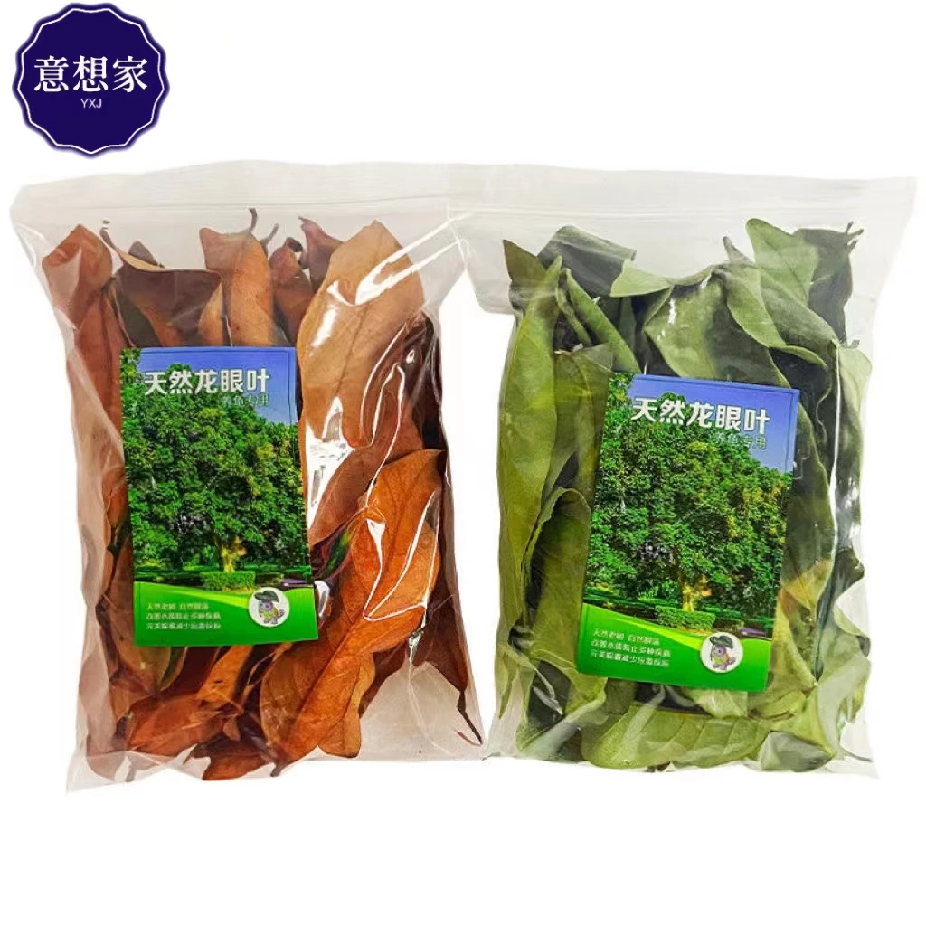 龙眼叶养龟风干预防腐皮造景水族调节改善水质免煮龟缸养龟龙眼叶