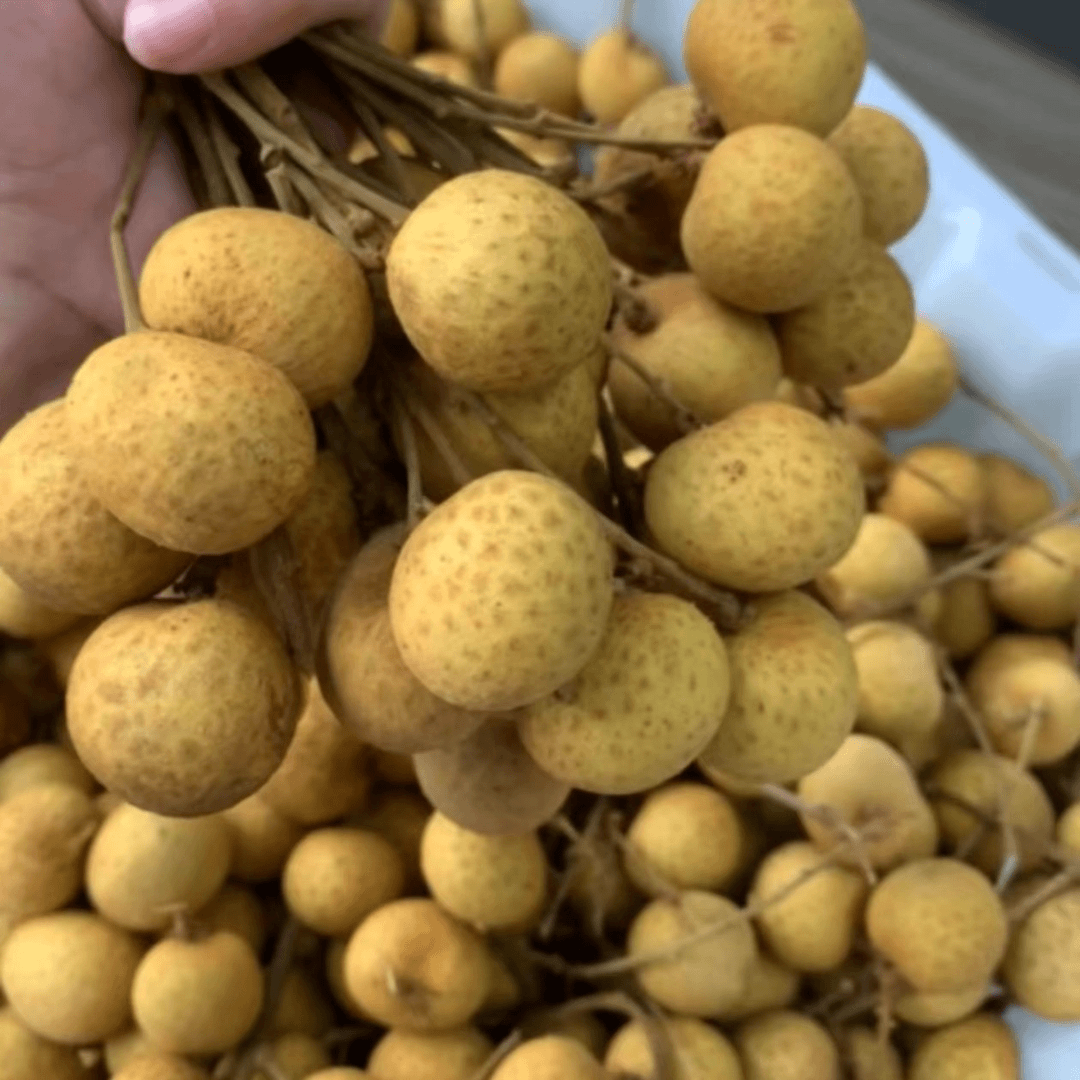新鲜水果龙眼