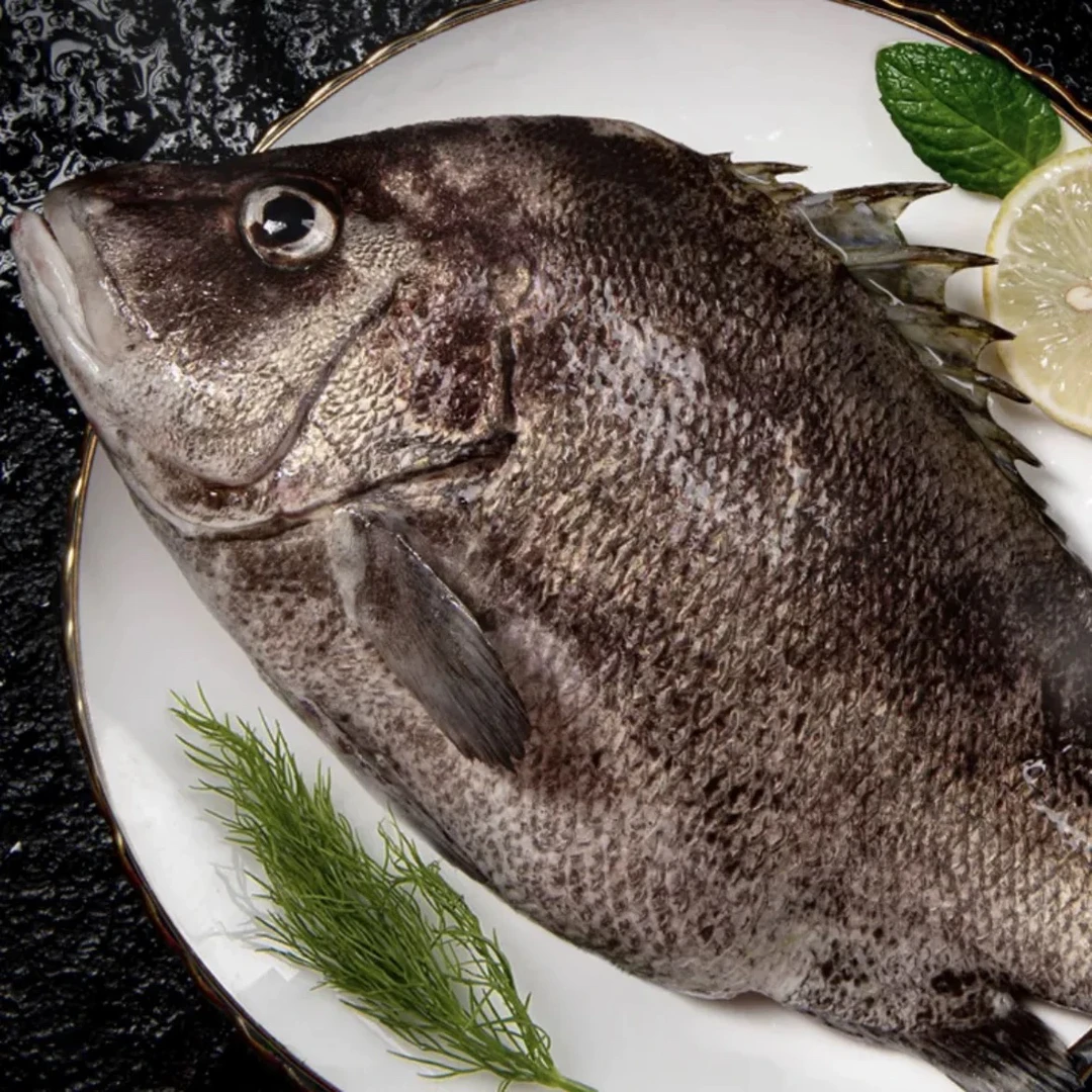 浙江东海速冻海鱼5斤新鲜888