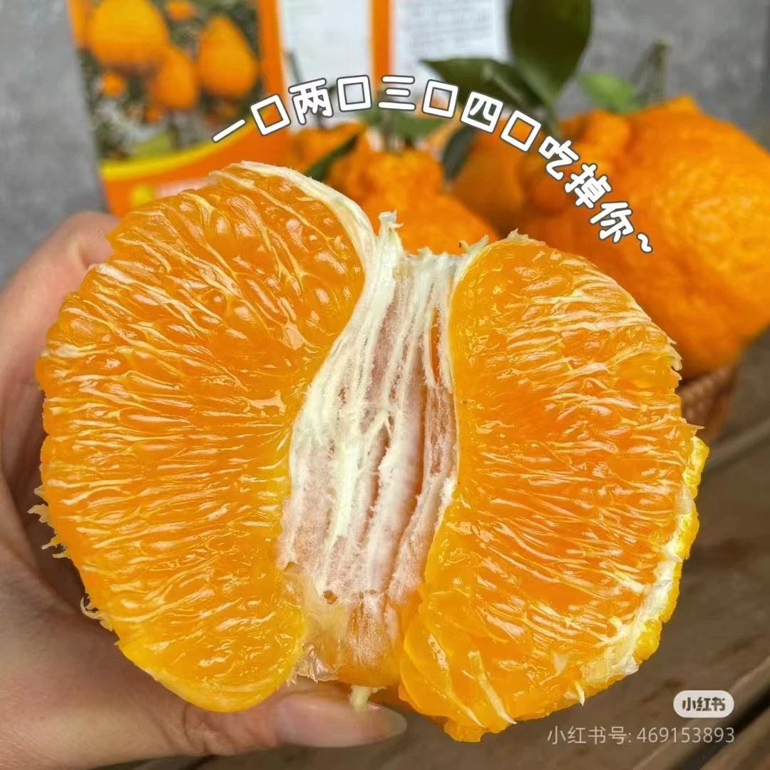 罗氏丑橘4个二斤左右