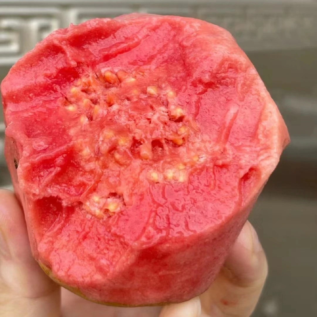 果切红心芭乐一盒2个（300克左右）