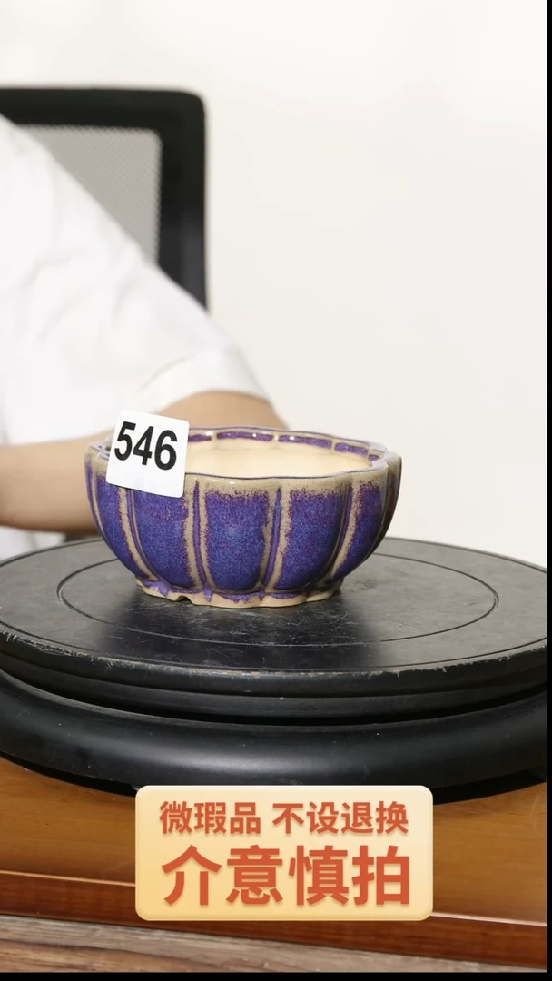 【闪购商品】陶20CM以下546