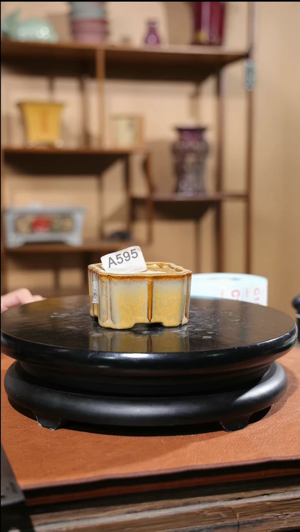 【闪购商品】红陶20CM以下595