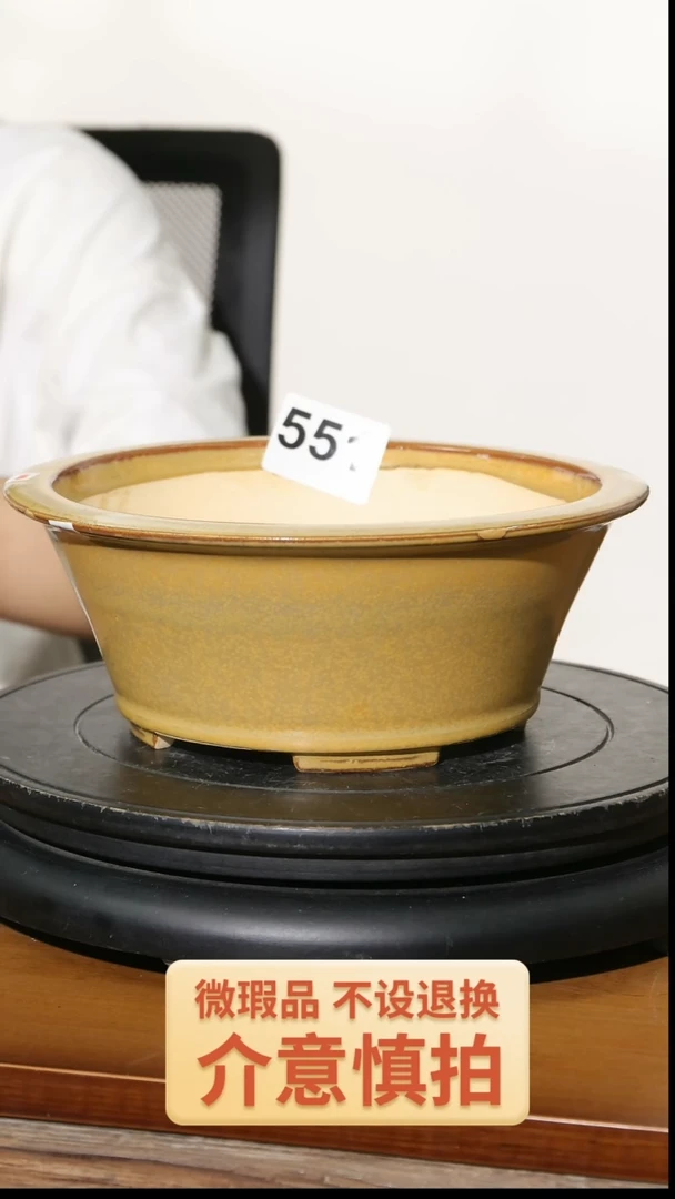 【闪购商品】陶20CM以下551