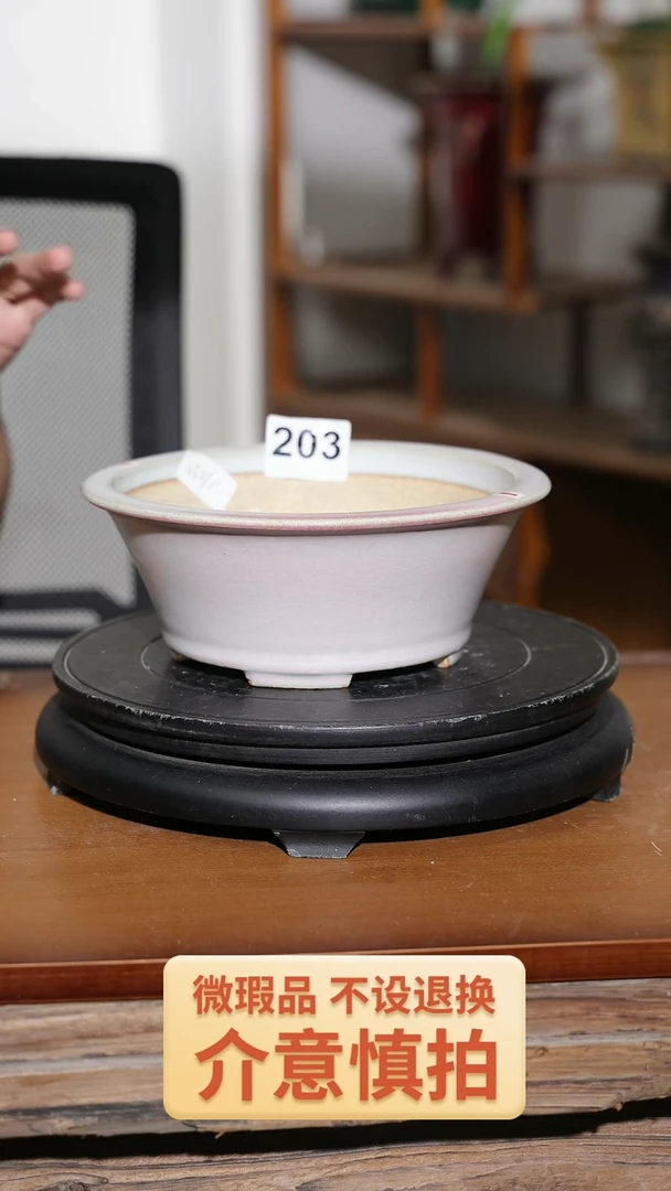 【闪购商品】陶20CM以下203
