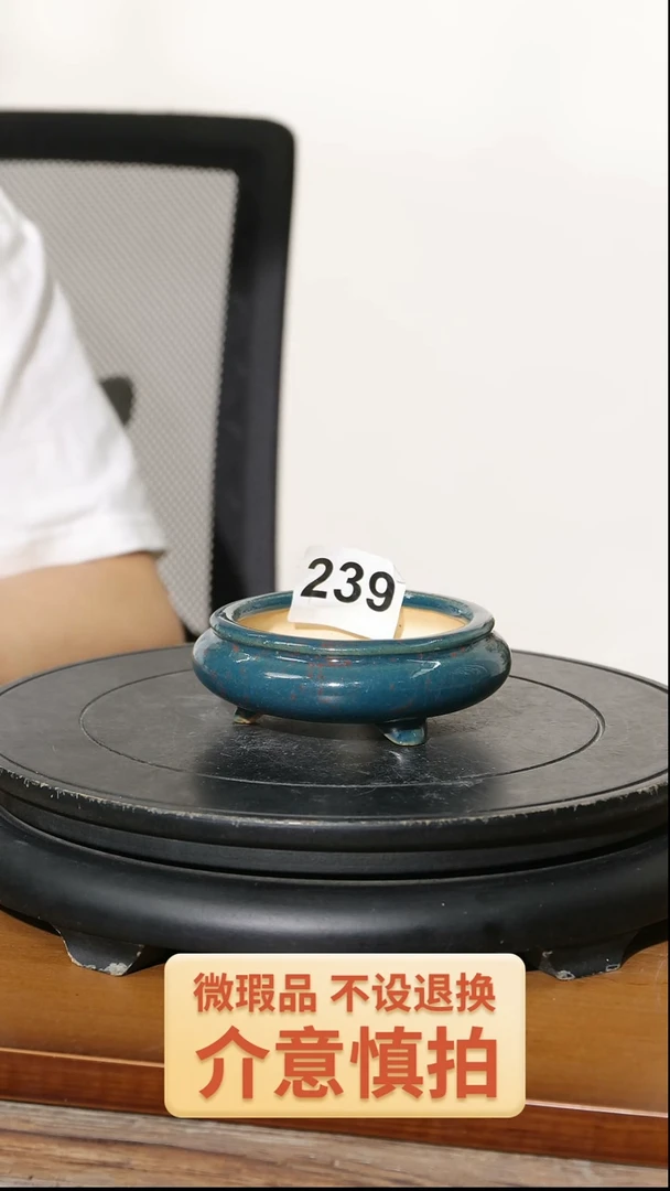 【闪购商品】陶20CM以下239