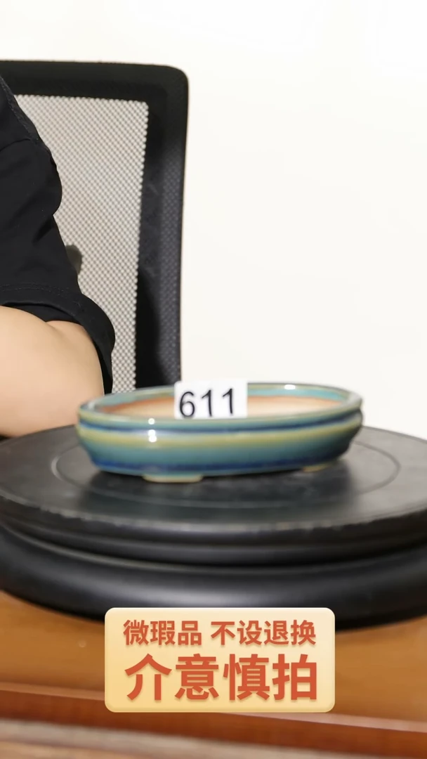 【闪购商品】陶20CM以下611