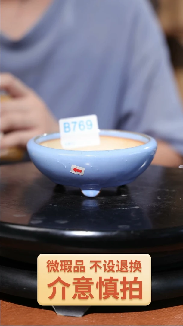 【闪购商品】红陶20CM以下769