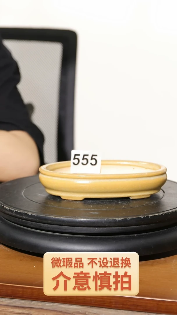 【闪购商品】陶20CM以下555