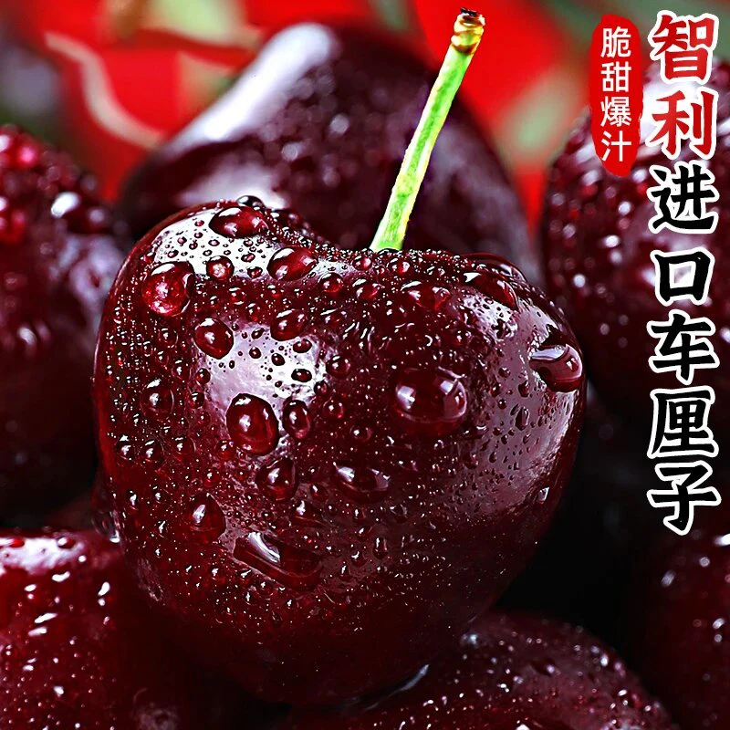 SK【XL】净重10斤（一物一拍）智利车厘子品牌原箱海运不拆袋假一赔三